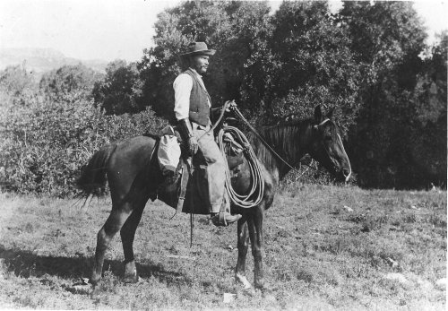 A man in western attire sits on a horse, holding a lasso, with trees and hills in the background.
