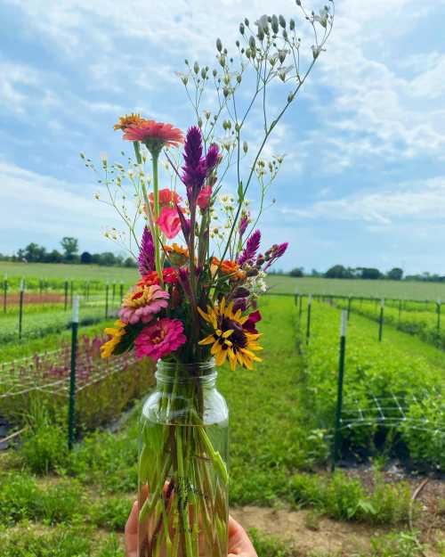 A hand holds a glass jar filled with colorful wildflowers against a lush green field under a cloudy sky.