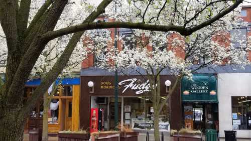 A street scene featuring flowering trees, shops, and a sign for "Doug Murdic's Fruity's" in a quaint town.