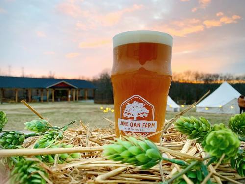 A glass of beer sits on hay, with a sunset backdrop and a rustic building in the distance.