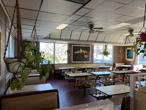 A cozy diner interior with booths, tables, hanging plants, and large windows letting in natural light.