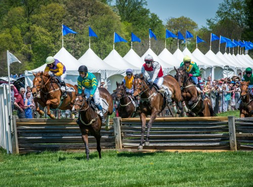 Horses and jockeys jump over a fence during a horse race, with spectators and tents in the background on a sunny day.