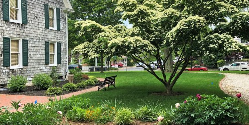 A lush green yard with a flowering dogwood tree, a bench, and colorful flowers in front of a charming house.