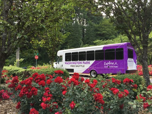 A purple and white shuttle bus labeled "Washington Park Free Shuttle" parked near vibrant red roses and greenery.