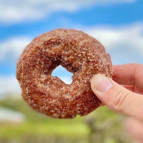 A hand holds a cinnamon sugar donut against a blue sky with fluffy clouds.