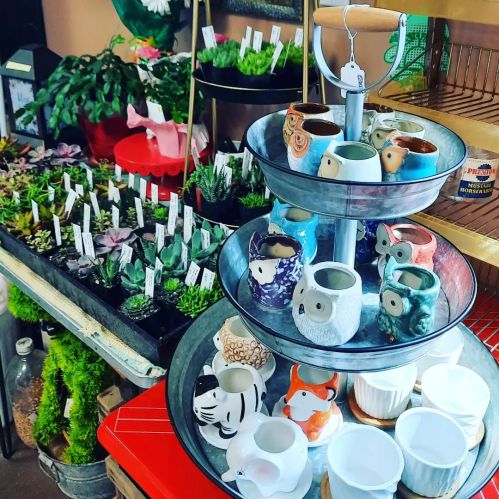A tiered display of colorful ceramic mugs and small potted plants in a vibrant garden shop setting.