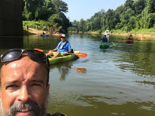 A group of kayakers paddling on a calm river surrounded by lush greenery on a sunny day.