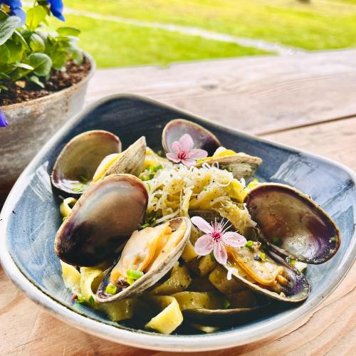 A bowl of pasta topped with clams, herbs, and edible flowers, set on a wooden table with a flower pot in the background.