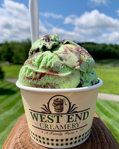 A cup of mint chocolate chip ice cream with a spoon, set against a green landscape and blue sky.
