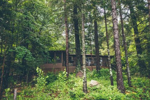 A cozy cabin nestled among tall trees and lush greenery in a serene forest setting.
