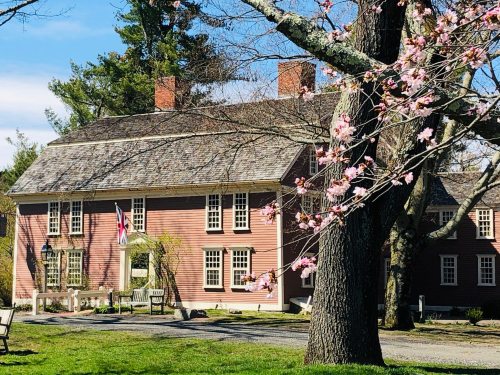 A historic pink house with white windows, surrounded by greenery and blooming cherry blossoms in the foreground.