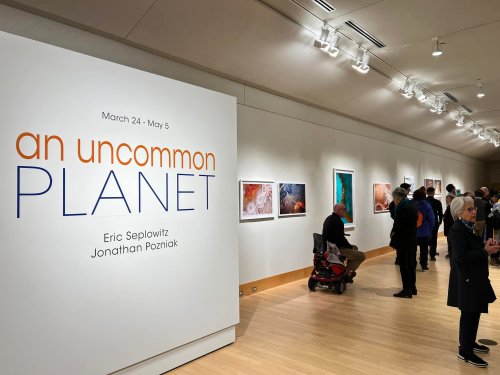 A gallery exhibition titled "an uncommon PLANET" with attendees viewing artwork on the walls.