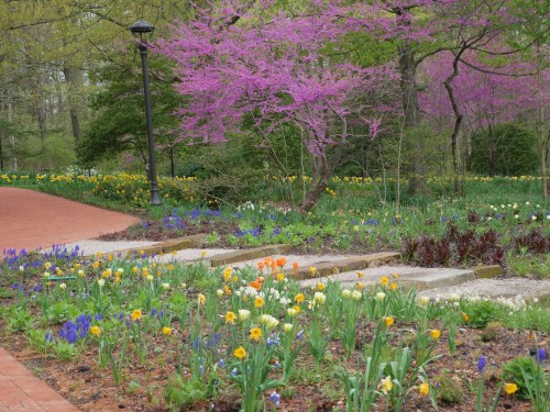 A vibrant garden path lined with colorful flowers and a blooming pink tree, surrounded by lush greenery.