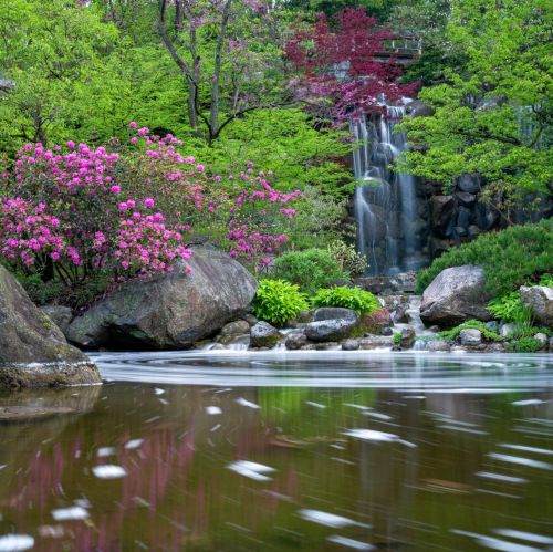 A serene landscape featuring a waterfall surrounded by vibrant flowers, lush greenery, and smooth water reflections.