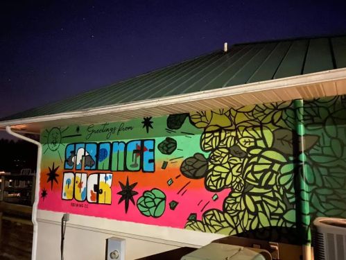 Colorful mural reading "Greetings from Orange Duck" with vibrant designs on a building under a night sky.