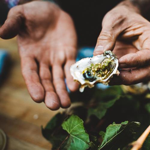 A person holds an open oyster in one hand, surrounded by green leaves on a wooden surface.