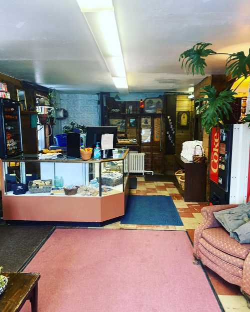 Cozy shop interior with a display counter, vending machine, and seating area, featuring warm lighting and decorative plants.