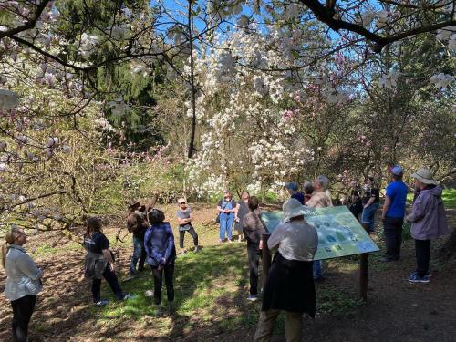 A group of people gathers under blooming trees, listening to a speaker near an informational sign in a sunny park.