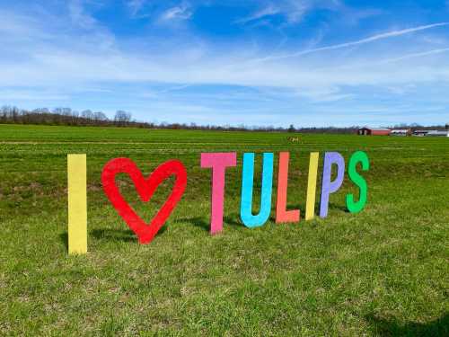 Colorful letters spelling "I ❤️ TULIPS" in a green field under a blue sky.