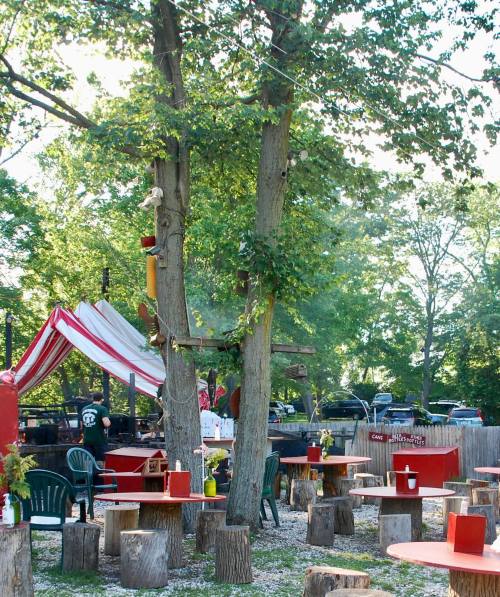 Outdoor dining area with wooden tables, chairs, and trees, featuring a striped canopy and a relaxed, natural setting.