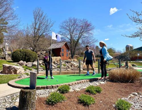 A family plays mini-golf on a sunny day, with a flag marking the hole and greenery surrounding the course.