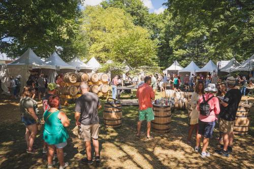 A lively outdoor festival scene with people mingling around wooden barrels and tents under sunny skies and trees.