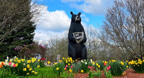 A wooden bear statue holding a sign that says "Got Wings?" surrounded by colorful flowers and trees.