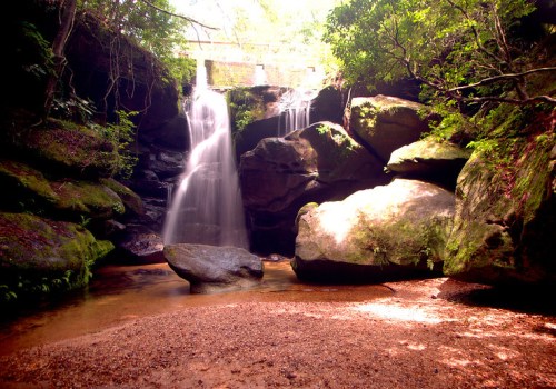 A serene waterfall cascades over rocks into a tranquil pool, surrounded by lush greenery and soft sunlight.