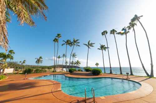 A serene poolside view with palm trees and ocean in the background under a clear blue sky.
