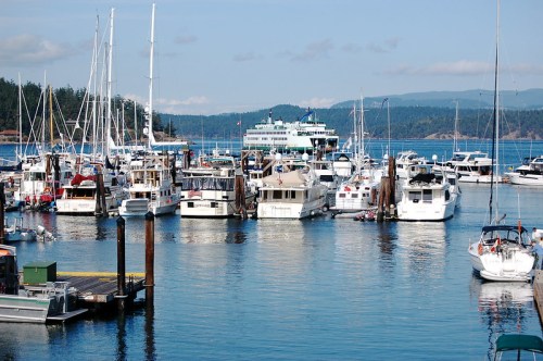A busy marina filled with various boats and yachts, surrounded by calm water and distant mountains under a clear blue sky.