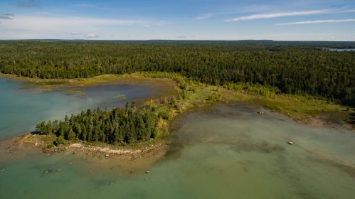 Aerial view of a lush green landscape with a small island surrounded by calm, clear water and dense forests in the background.