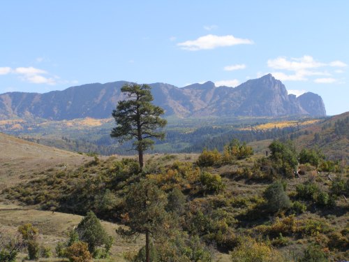 A scenic view of mountains with autumn foliage, featuring a lone tree in the foreground under a clear blue sky.