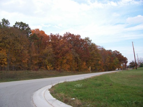 A winding road lined with vibrant autumn trees in shades of orange, red, and yellow under a cloudy sky.