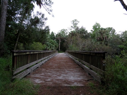 A wooden bridge stretches over a path surrounded by lush greenery and trees in a serene natural setting.