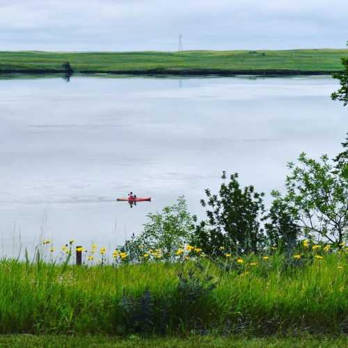 A serene lake scene with a kayaker paddling, surrounded by lush green grass and wildflowers under a cloudy sky.