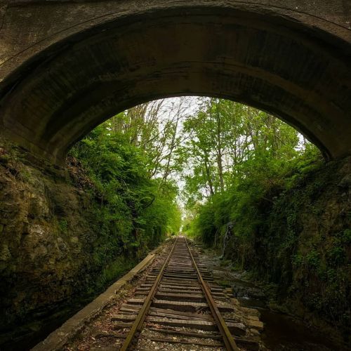 A view of a railway track running through a stone archway, surrounded by lush greenery and trees.