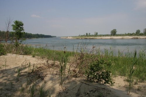 A serene river scene with sandy banks, lush greenery, and distant trees under a clear blue sky.