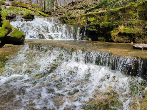 A serene waterfall cascades over moss-covered rocks into a clear stream, surrounded by lush greenery.
