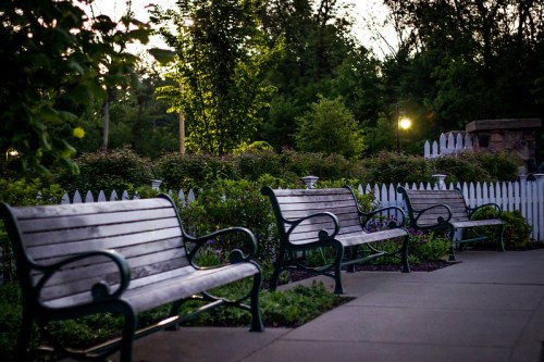 A peaceful park scene featuring wooden benches lined along a path, surrounded by greenery and soft evening light.
