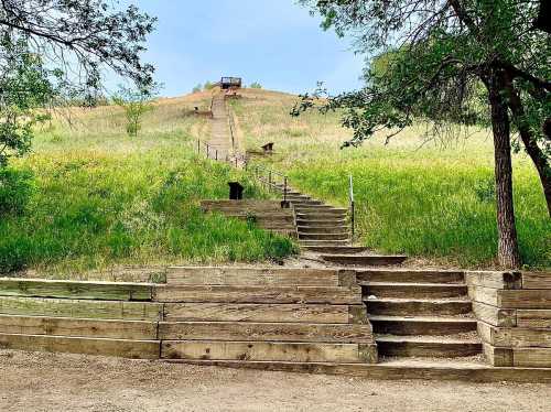 A wooden staircase leads up a grassy hill, surrounded by trees and a clear blue sky.