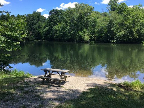 A serene lake surrounded by lush greenery, with a picnic table by the water's edge reflecting in the calm surface.