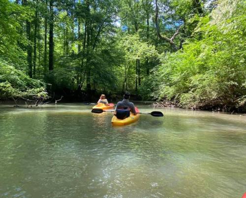 Two people kayaking on a calm river surrounded by lush green trees.