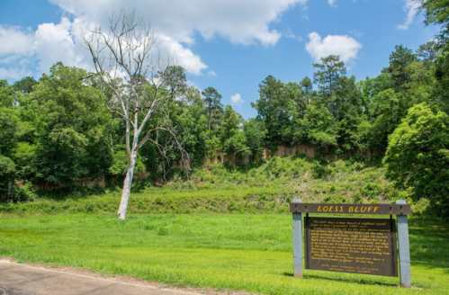 A grassy area with a sign about Loess Bluff, featuring a dry tree and lush green trees in the background under a blue sky.