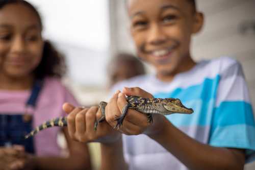 Two children smile while holding a small alligator, with one child gently cradling it in their hands.