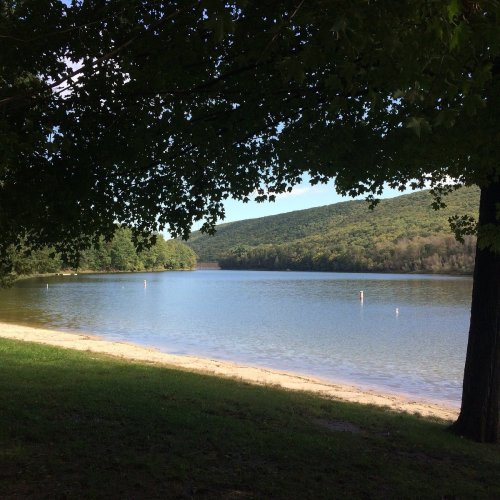A serene lakeside view with calm water, green trees, and a gentle slope of land in the background.