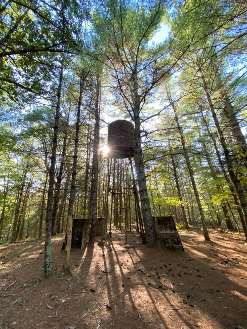 A water tower stands among tall trees, with sunlight filtering through the branches in a serene forest setting.