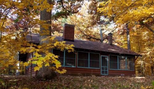 A cozy cabin surrounded by vibrant autumn foliage and tall trees, featuring a screened porch and a rustic charm.