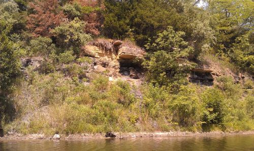 A rocky cliffside covered in greenery, with trees and shrubs along the water's edge.