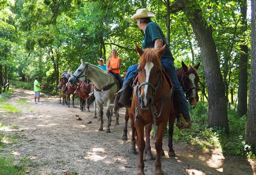 A group of horseback riders on a dirt path surrounded by trees, with one person standing nearby.