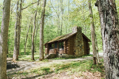 A rustic log cabin surrounded by lush green trees in a serene forest setting.